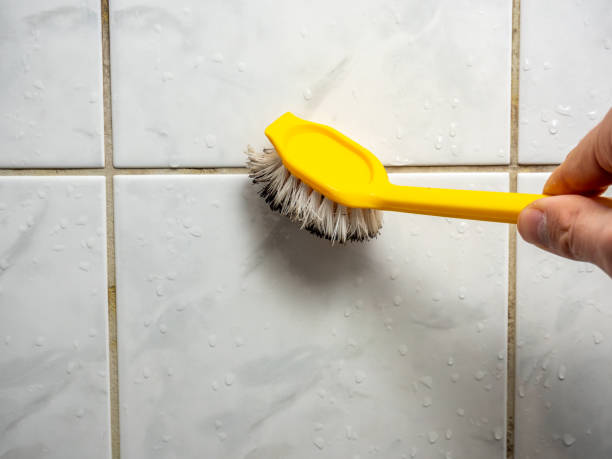 Best Certified Mold Removal  in Lexington, SC