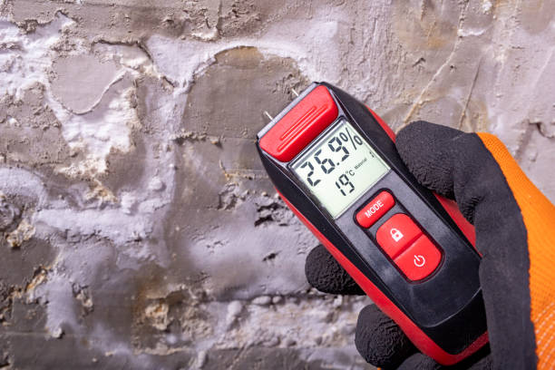 Best Commercial Mold Removal  in Lexington, SC